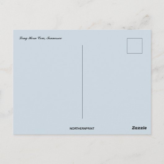 テネシー州のロングホルンカウズ ポストカード (裏面)