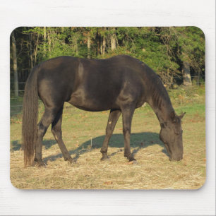テネシー州の歩くの馬のロバのマウスパッド マウスパッド