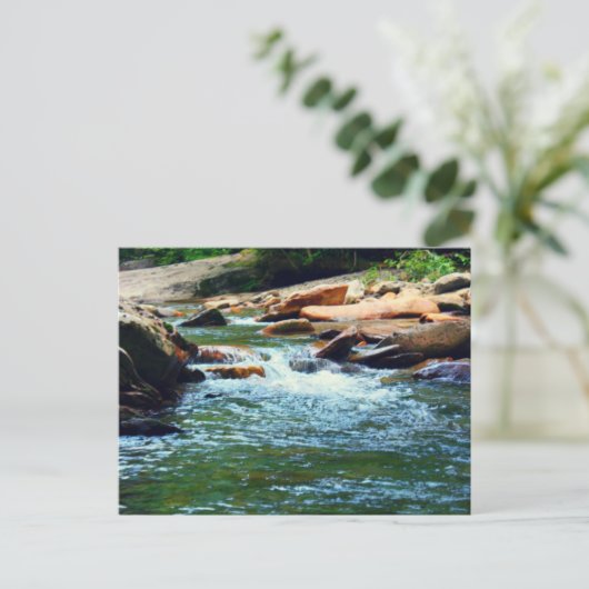 テネシー州の流れ ポストカード (スタンド正面)