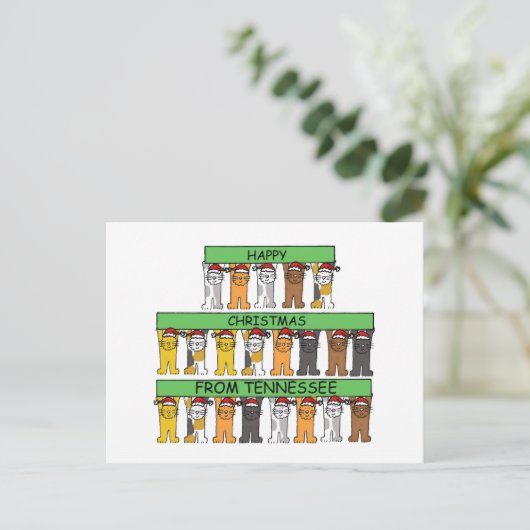 テネシー州の猫たちによるクリスマスおめでとう シーズンポストカード (スタンド正面)