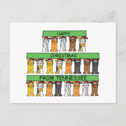 テネシー州の猫たちによるクリスマスおめでとう シーズンポストカード (正面)