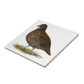 テネシー州の赤のウズラ タイル (側面)