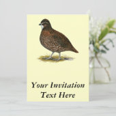 テネシー州の赤のウズラ 招待状 (スタンド正面)