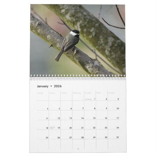 テネシー州の野性生物2010年 カレンダー (1月 2026)