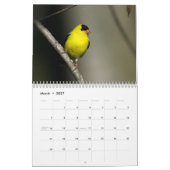 テネシー州の野性生物2010年 カレンダー (3月 2027)