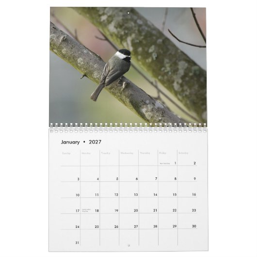 テネシー州の野性生物2010年 カレンダー (1月 2027)