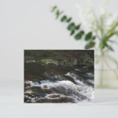 テネシー州オコエ川 ポストカード (スタンド正面)