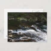 テネシー州オコエ川 ポストカード (正面/裏面)