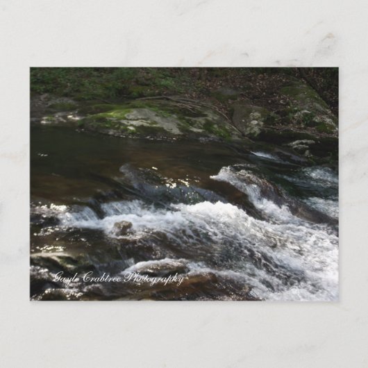 テネシー州オコエ川 ポストカード (正面)