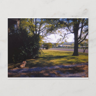 テネシー州ブレントウッドの牧歌的な美しさの一角 ポストカード