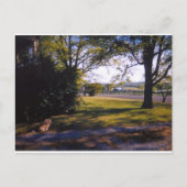 テネシー州ブレントウッドの牧歌的な美しさの一角 ポストカード (正面)