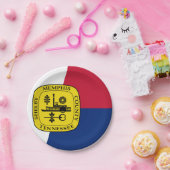 テネシー州メンフィス国旗の紙プレート ペーパープレート (パーティー)