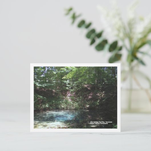 テネシー州レッドクレイのブルースプリング ポストカード (スタンド正面)