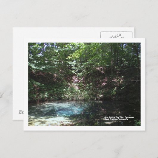 テネシー州レッドクレイのブルースプリング ポストカード (正面/裏面)