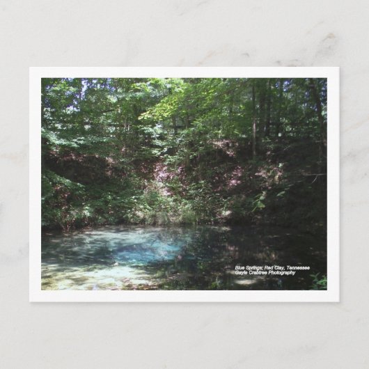 テネシー州レッドクレイのブルースプリング ポストカード (正面)