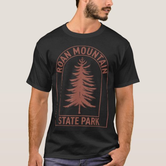 テネシー州ロアン・マウンテン州立公園 ビンテージ Tシャツ (正面)