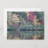 テネシー州ワネイダの秋 ポストカード (正面/裏面)