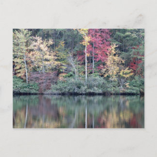 テネシー州ワネイダの秋 ポストカード