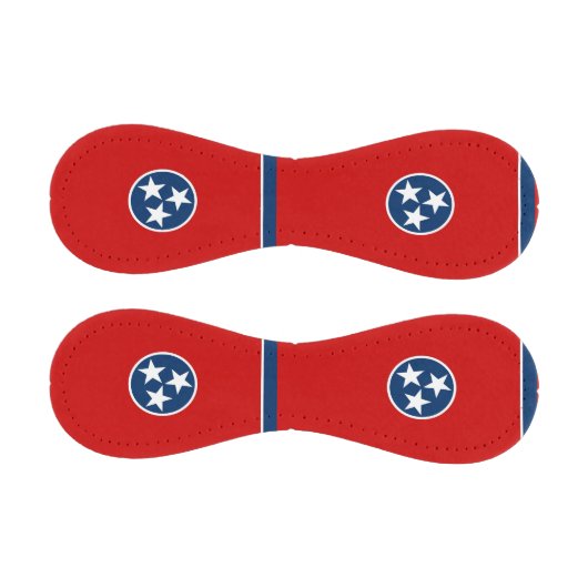 テネシー州旗を持つ愛国野球 野球ボール (パネル)