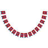 テネシー州旗パーティー,バンティング旗/結婚式 バンティングフラッグ (全)