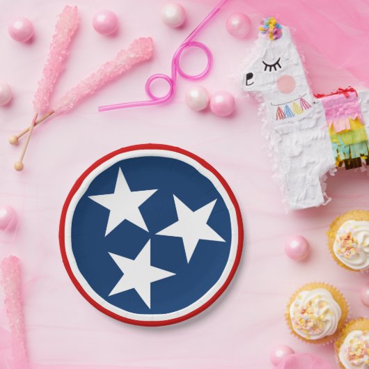 テネシー州旗ブルーホワイトスターズ ペーパープレート (パーティー)