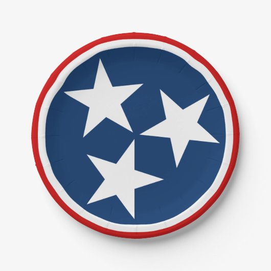 テネシー州旗ブルーホワイトスターズ ペーパープレート (正面)