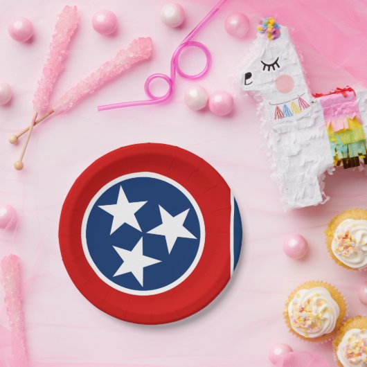 テネシー州旗プレート、パーティー、スポーツ、テネシー ペーパープレート (パーティー)