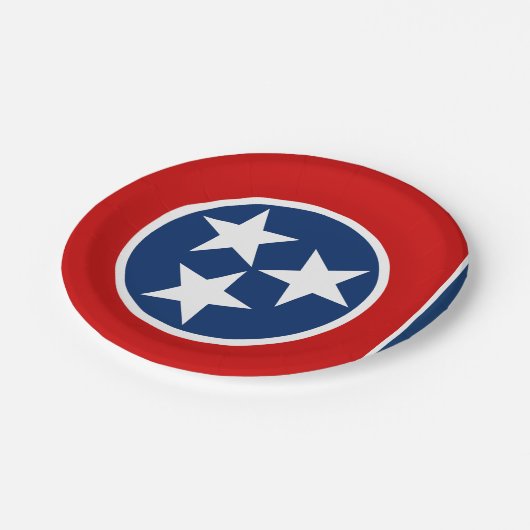 テネシー州旗プレート、パーティー、スポーツ、テネシー ペーパープレート (アングル)