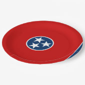 テネシー州旗 ペーパープレート (アングル)