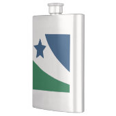 テネシー州春ヒル国旗 フラスク (左)