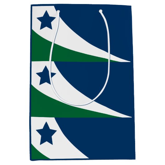 テネシー州春ヒル国旗 ミディアムペーパーバッグ (正面)