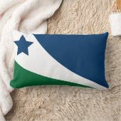 テネシー州春ヒル国旗 ランバークッション (ブランケット)