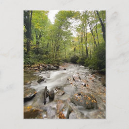 テネシー州素晴らしスモークマウンテンズ国立公園 ポストカード