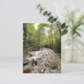 テネシー州素晴らしスモークマウンテンズ国立公園 ポストカード (スタンド正面)