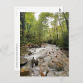 テネシー州素晴らしスモークマウンテンズ国立公園 ポストカード (正面/裏面)