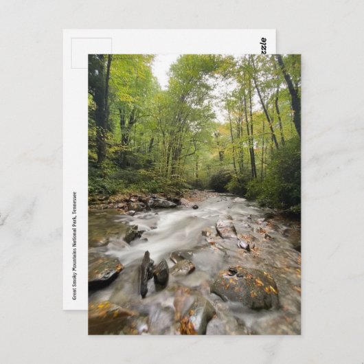 テネシー州素晴らしスモークマウンテンズ国立公園 ポストカード (正面/裏面)