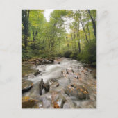 テネシー州素晴らしスモークマウンテンズ国立公園 ポストカード (正面)