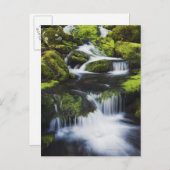 テネシー州素晴らしスモークマウンテンズ国立公園 ポストカード (正面/裏面)