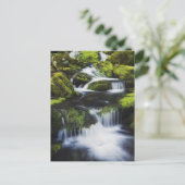 テネシー州素晴らしスモークマウンテンズ国立公園 ポストカード (スタンド正面)