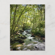 テネシー州素晴らしスモークマウンテンズ国立公園