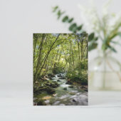 テネシー州素晴らしスモークマウンテンズ国立公園 ポストカード (スタンド正面)