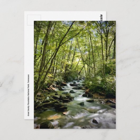テネシー州素晴らしスモークマウンテンズ国立公園 ポストカード (正面/裏面)