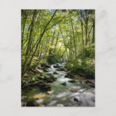 テネシー州素晴らしスモークマウンテンズ国立公園 ポストカード (正面)