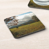 テネシー州、アメリカ。ケードスコーブバレーの馬 コースター (左側)