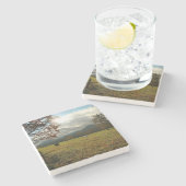 テネシー州、アメリカ。ケードスコーブバレーの馬 ストーンコースター (横)