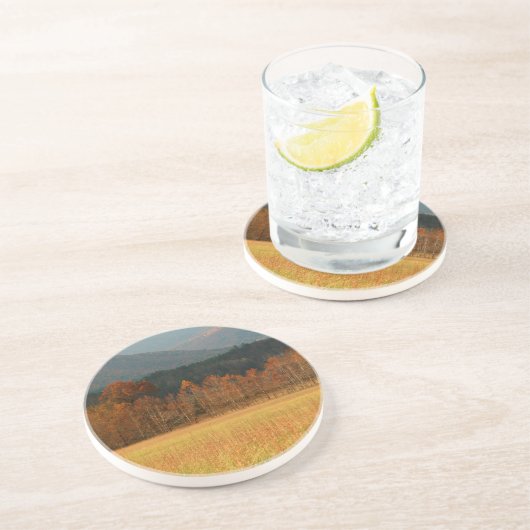 テネシー州、アメリカ。スモーキー山のケードコーブ コースター (側面)