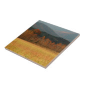 テネシー州、アメリカ。スモーキー山のケードコーブ タイル (側面)