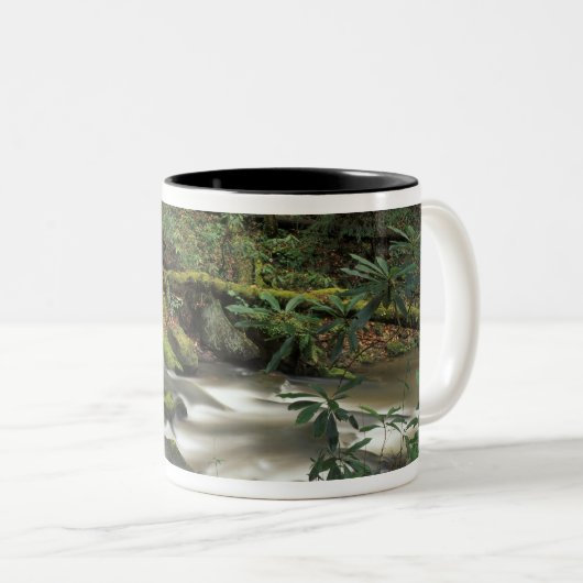テネシー州、アメリカ。ビッグサウスフォーク国立川 ツートーンマグカップ (正面右)