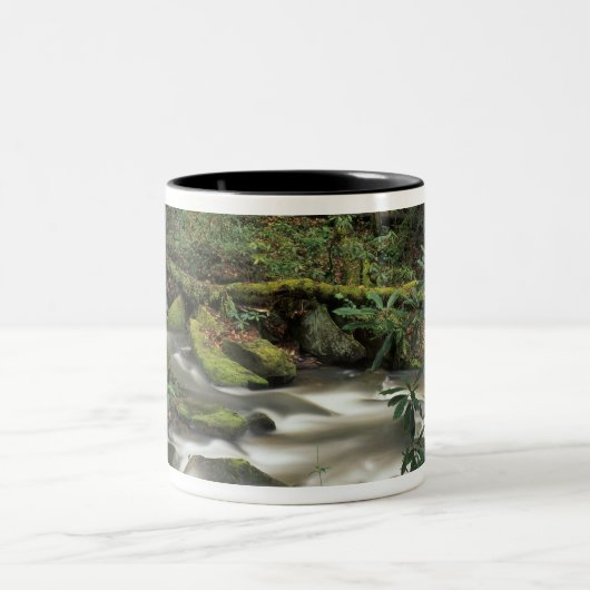 テネシー州、アメリカ。ビッグサウスフォーク国立川 ツートーンマグカップ (中央)