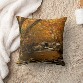 テネシー州、アメリカ。ラッシングマウンテンクリーク3 クッション (ブランケット)